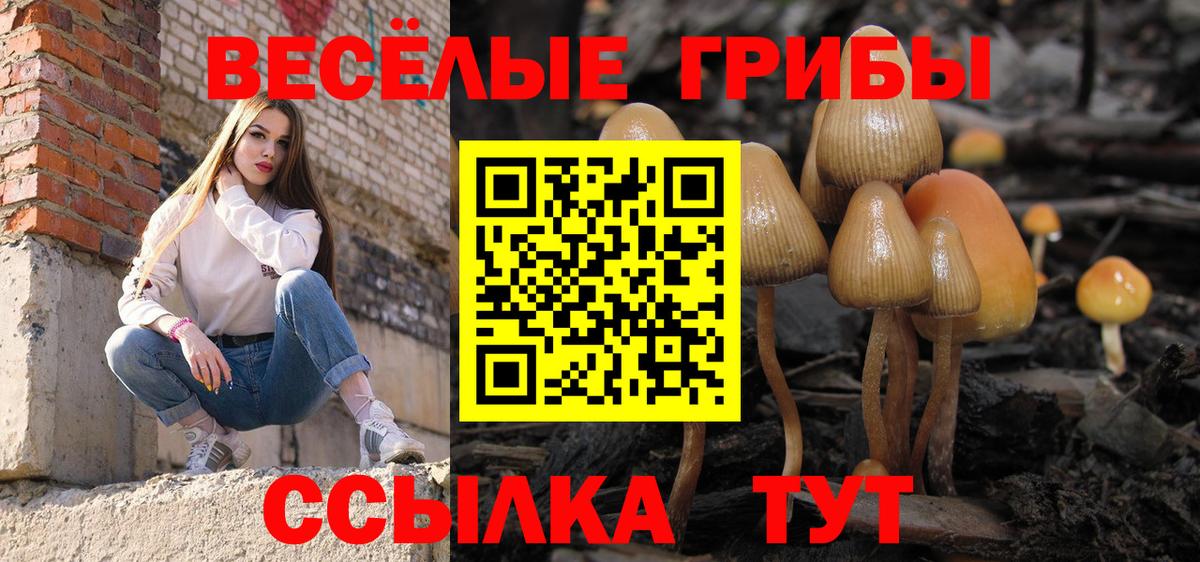 Псилоцибиновые грибы MAGIC MUSHROOMS Ульяновск